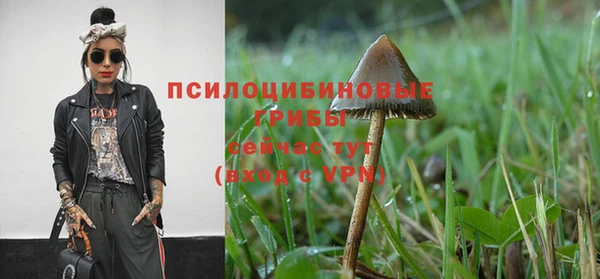 гидра Семилуки