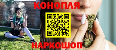 стафф Гусев
