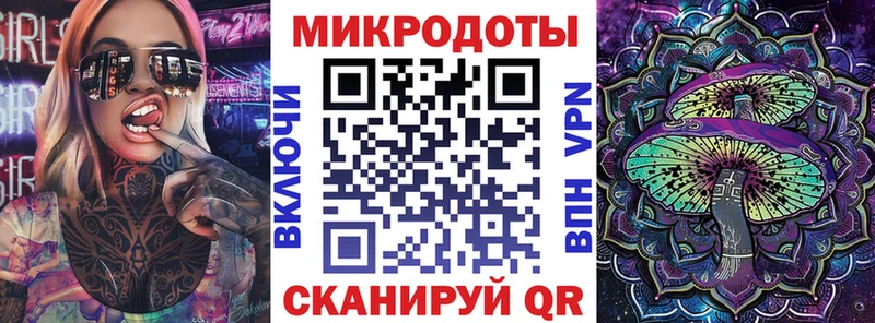 наркота  Усть-Лабинск  Псилоцибиновые грибы Psilocybe 