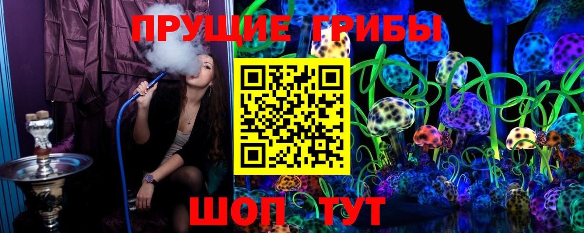 Усть-Лабинск  сколько стоит  Вход с VPN  Галлюциногенные грибы Cubensis 